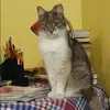 Отзыв от Пелагея Маркелова